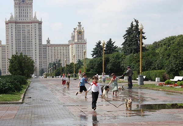 Страшные секреты «Собачьего рая»