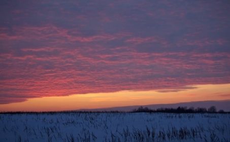 Стихи о войне