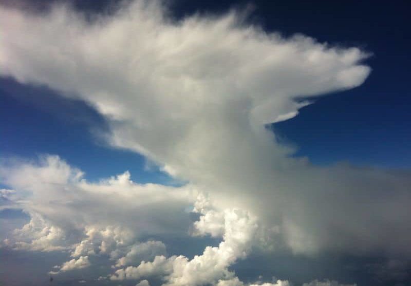 Дикий фён и волшебная шкатулка