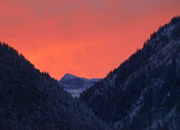 Жизнь полет