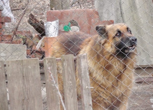 Бульдозером по нахаловке