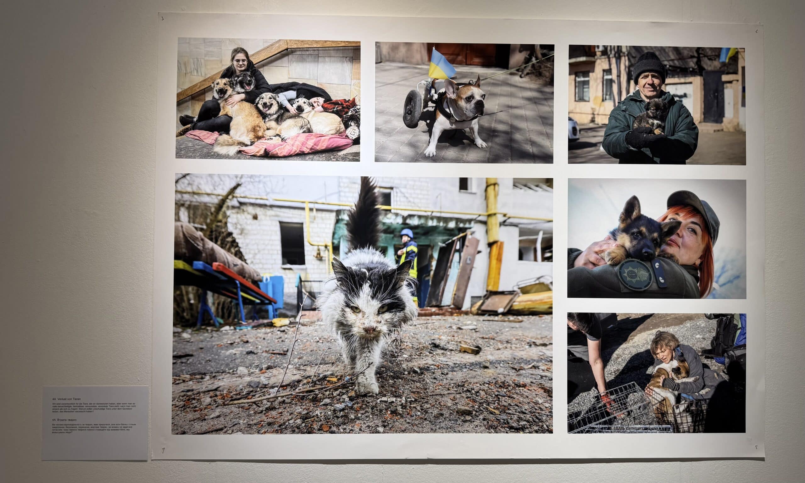 На фотовиставці «Годинники війни». Photobastei Zurich, 15 січня 2026 р. (© forall.swiss)